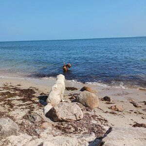 Meet your Posher, Love